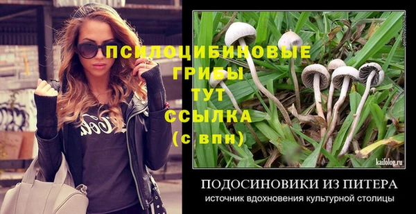 apvp Балахна