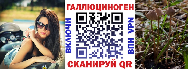 Галлюциногенные грибы Cubensis Кущёвская